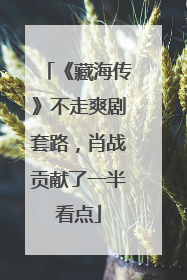 《藏海传》不走爽剧套路，肖战贡献了一半看点