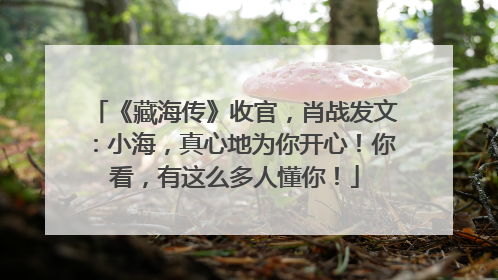 《藏海传》收官，肖战发文：小海，真心地为你开心！你看，有这么多人懂你！