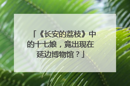 《长安的荔枝》中的十七娘，竟出现在延边博物馆？