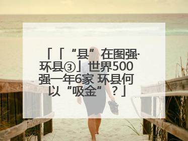 「“县”在图强·环县③」世界500强一年6家 环县何以“吸金”？