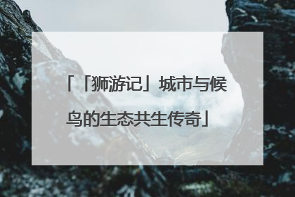 「狮游记」城市与候鸟的生态共生传奇