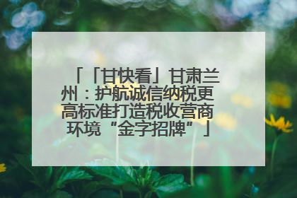「甘快看」甘肃兰州：护航诚信纳税更高标准打造税收营商环境“金字招牌”