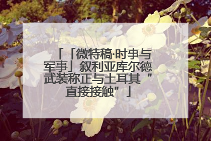 「微特稿·时事与军事」叙利亚库尔德武装称正与土耳其“直接接触”