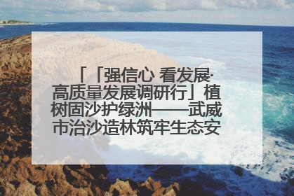 「强信心 看发展·高质量发展调研行」植树固沙护绿洲——武威市治沙造林筑牢生态安全屏障见闻