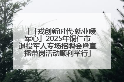「戎创新时代·就业暖军心」2025年铜仁市退役军人专场招聘会暨直播带岗活动顺利举行