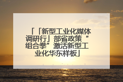 「新型工业化媒体调研行」部省政策“组合拳”激活新型工业化华东样板