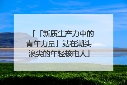 「新质生产力中的青年力量」站在潮头浪尖的年轻核电人