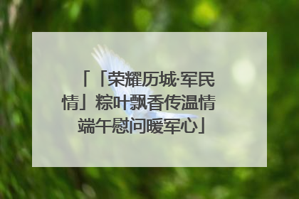 「荣耀历城·军民情」粽叶飘香传温情 端午慰问暖军心