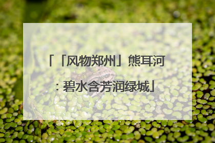 「风物郑州」熊耳河：碧水含芳润绿城