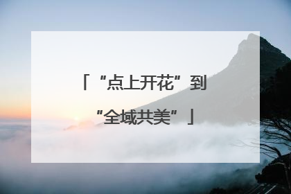 “点上开花”到“全域共美”