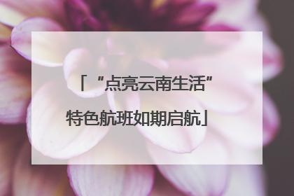 “点亮云南生活”特色航班如期启航