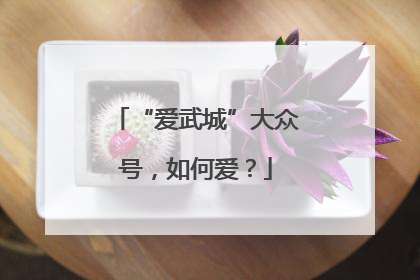 “爱武城”大众号，如何爱？