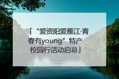 “爱资阳爱雁江·青春有young”特产校园行活动启幕