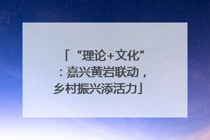 “理论+文化”：嘉兴黄岩联动，乡村振兴添活力