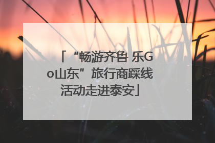 “畅游齐鲁 乐Go山东”旅行商踩线活动走进泰安