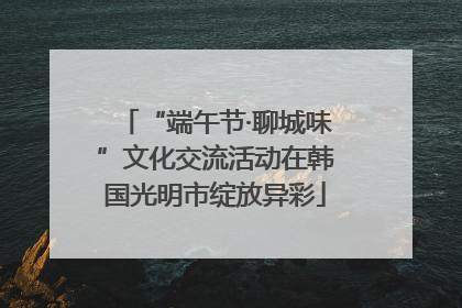 “端午节·聊城味”文化交流活动在韩国光明市绽放异彩