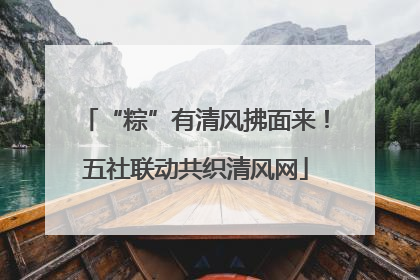 “粽”有清风拂面来！五社联动共织清风网