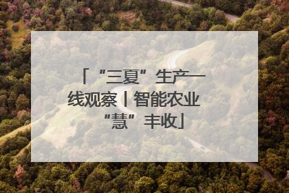 “三夏”生产一线观察丨智能农业“慧”丰收