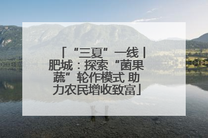 “三夏”一线丨肥城：探索“菌果蔬”轮作模式 助力农民增收致富