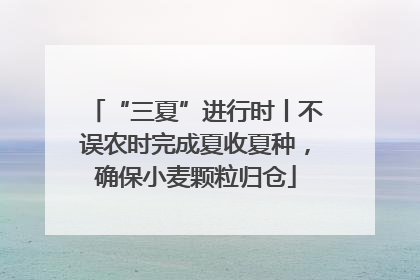 “三夏”进行时丨不误农时完成夏收夏种，确保小麦颗粒归仓