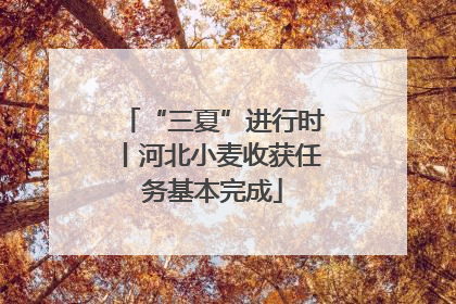 “三夏”进行时丨河北小麦收获任务基本完成