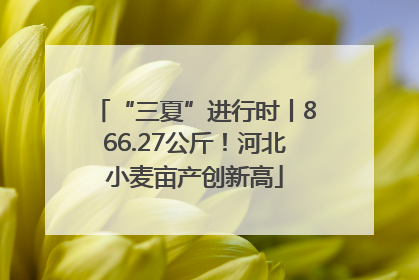 “三夏”进行时丨866.27公斤！河北小麦亩产创新高