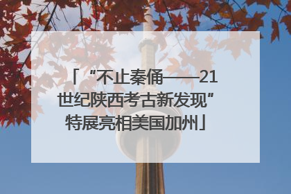 “不止秦俑——21世纪陕西考古新发现”特展亮相美国加州