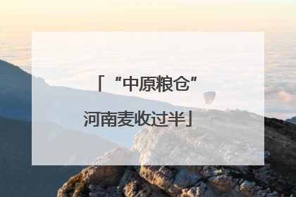 “中原粮仓”河南麦收过半