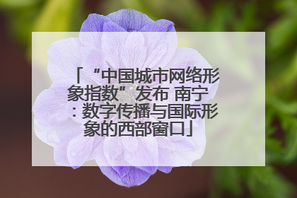 “中国城市网络形象指数”发布 南宁：数字传播与国际形象的西部窗口