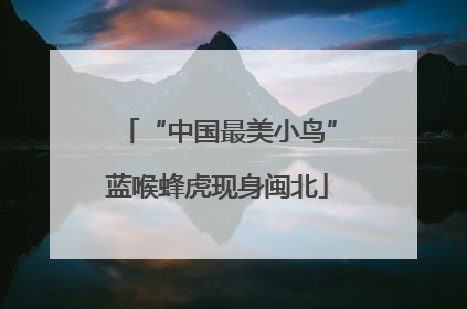 “中国最美小鸟”蓝喉蜂虎现身闽北
