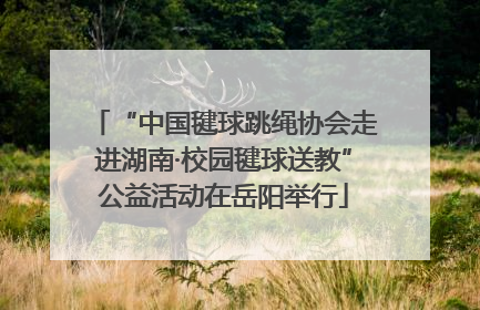 “中国毽球跳绳协会走进湖南·校园毽球送教”公益活动在岳阳举行