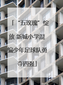 “五玫瑰”绽放 新城小学混编少年足球队勇夺四强