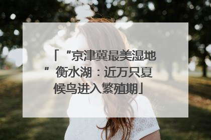 “京津冀最美湿地”衡水湖：近万只夏候鸟进入繁殖期