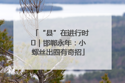 “县”在进行时⑬｜邯郸永年：小螺丝出圈有奇招