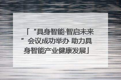 “具身智能·智启未来”会议成功举办 助力具身智能产业健康发展