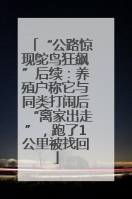 “公路惊现鸵鸟狂飙”后续：养殖户称它与同类打闹后“离家出走”，跑了1公里被找回