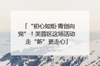 “初心如炬·青创向党”！芙蓉区这场活动走“新”更走心