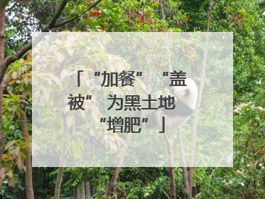 “加餐”“盖被” 为黑土地“增肥”