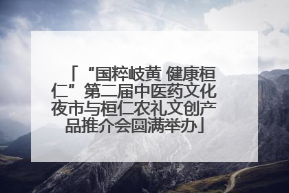 “国粹岐黄 健康桓仁”第二届中医药文化夜市与桓仁农礼文创产品推介会圆满举办