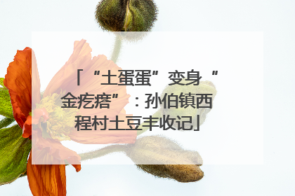 “土蛋蛋”变身“金疙瘩”：孙伯镇西程村土豆丰收记
