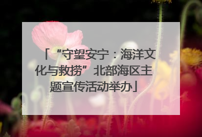“守望安宁：海洋文化与救捞”北部海区主题宣传活动举办