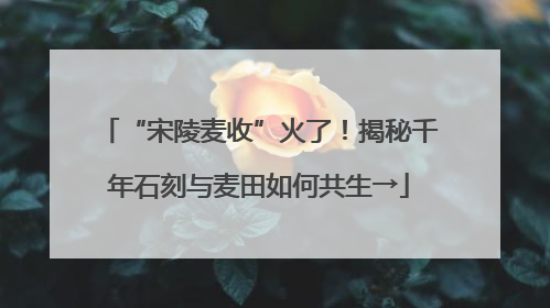 “宋陵麦收”火了！揭秘千年石刻与麦田如何共生→