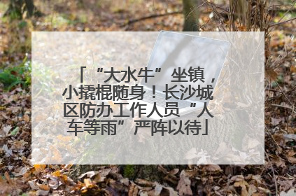 “大水牛”坐镇，小撬棍随身！长沙城区防办工作人员“人车等雨”严阵以待
