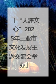 “天涯文心”2025年三亚市文化发展主题交流会举办