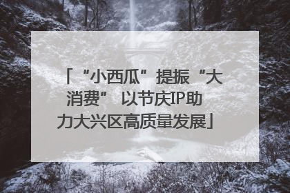 “小西瓜”提振“大消费” 以节庆IP助力大兴区高质量发展