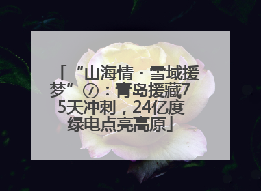 “山海情・雪域援梦”⑦：青岛援藏75天冲刺，24亿度绿电点亮高原