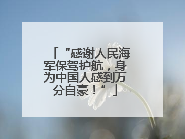 “感谢人民海军保驾护航，身为中国人感到万分自豪！”