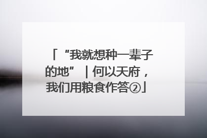 “我就想种一辈子的地”｜何以天府，我们用粮食作答②