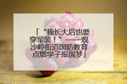 “我长大后也要穿军装！”——观沙岭街道国防教育点燃学子报国梦