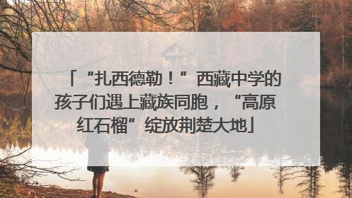 “扎西德勒！”西藏中学的孩子们遇上藏族同胞，“高原红石榴”绽放荆楚大地